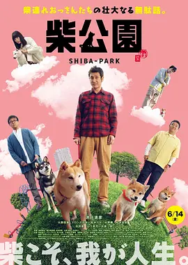 精品视频一二
