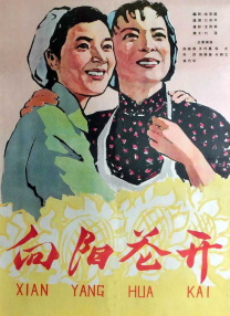 日本一区二区免费不卡