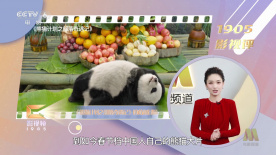 2021αⅴ在线视频